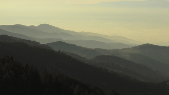 Baden-Wùrttemberg, Schwarzwald