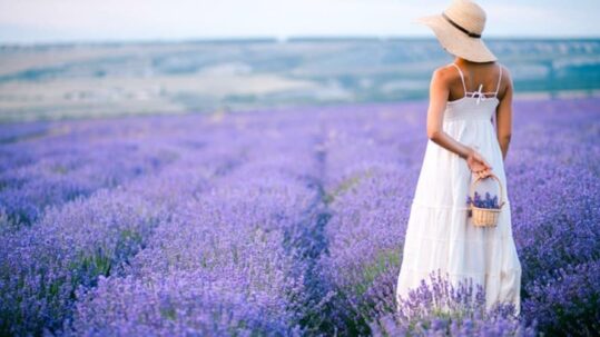 Provenza: tra il lilla e il profumo di lavanda