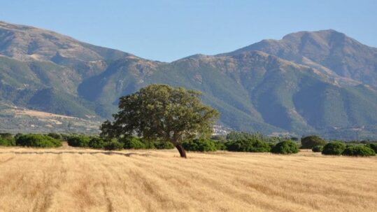 Viaggio in camper in Sardegna, a Monte Linas