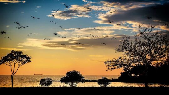 Viaggio in camper in Slovenia, in Istria